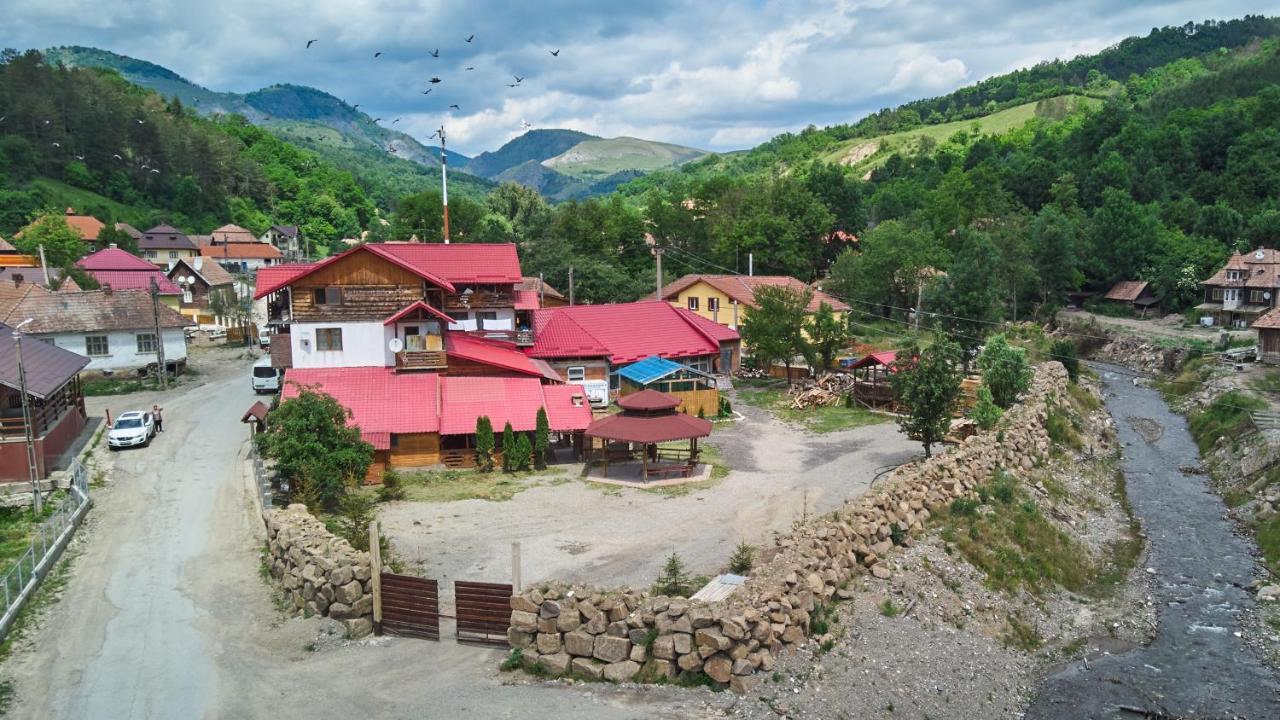 Pensiunea Colt Alb Ocolis Dış mekan fotoğraf